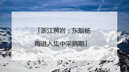 浙江黄岩：东魁杨梅进入集中采摘期