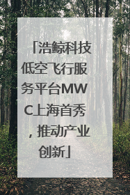 浩鲸科技低空飞行服务平台MWC上海首秀，推动产业创新