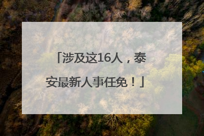 涉及这16人，泰安最新人事任免！