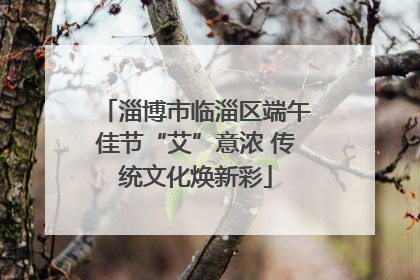淄博市临淄区端午佳节“艾”意浓 传统文化焕新彩