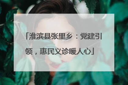 淮滨县张里乡：党建引领，惠民义诊暖人心