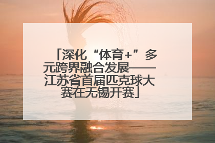 深化“体育+”多元跨界融合发展——江苏省首届匹克球大赛在无锡开赛