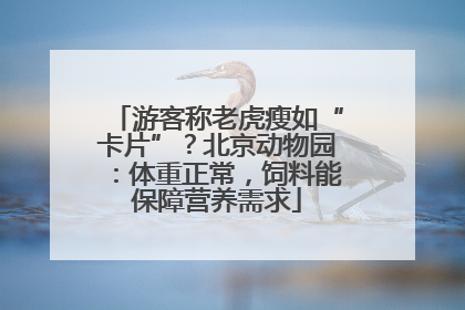 游客称老虎瘦如“卡片”？北京动物园：体重正常，饲料能保障营养需求