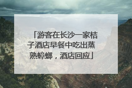 游客在长沙一家桔子酒店早餐中吃出蒸熟蟑螂，酒店回应