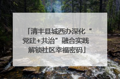 清丰县城西办深化“党建+共治”融合实践 解锁社区幸福密码