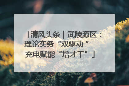 清风头条｜武陵源区：理论实务“双驱动 ” 充电赋能“增才干”