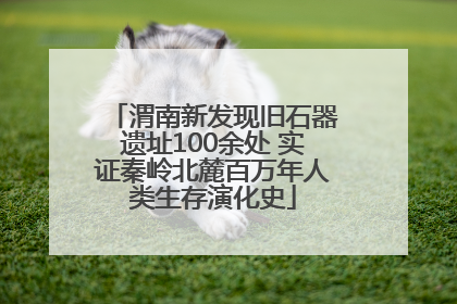 渭南新发现旧石器遗址100余处 实证秦岭北麓百万年人类生存演化史