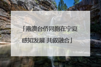 港澳台侨同胞在宁夏感知发展 共叙融合