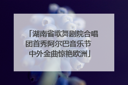 湖南省歌舞剧院合唱团首秀阿尔巴音乐节 中外金曲惊艳欧洲