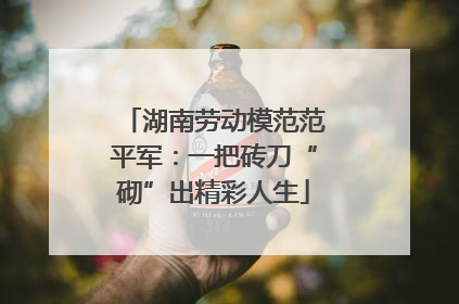 湖南劳动模范范平军：一把砖刀“砌”出精彩人生