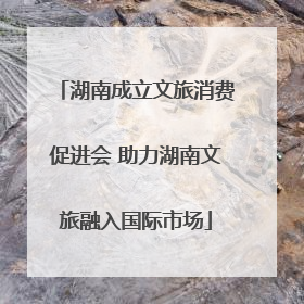 湖南成立文旅消费促进会 助力湖南文旅融入国际市场