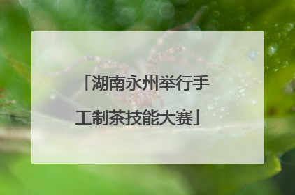 湖南永州举行手工制茶技能大赛