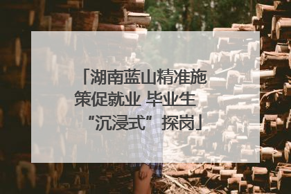 湖南蓝山精准施策促就业 毕业生“沉浸式”探岗