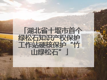 湖北省十堰市首个绿松石知识产权保护工作站硬核保护“竹山绿松石”