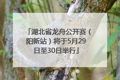 湖北省龙舟公开赛（阳新站）将于5月29日至30日举行