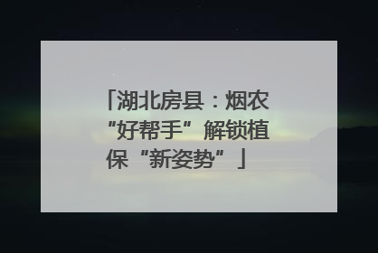 湖北房县：烟农“好帮手”解锁植保“新姿势”