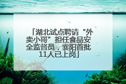 湖北试点聘请“外卖小哥”担任食品安全监督员，襄阳首批11人已上岗