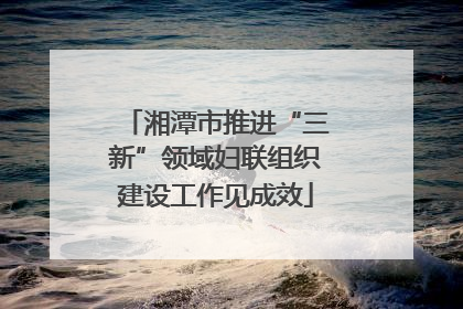 湘潭市推进“三新”领域妇联组织建设工作见成效
