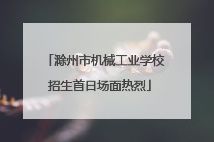 滁州市机械工业学校招生首日场面热烈