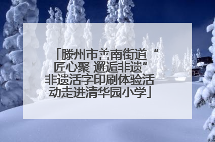 滕州市善南街道“匠心聚 邂逅非遗”非遗活字印刷体验活动走进清华园小学