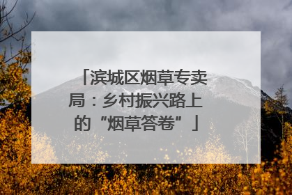 滨城区烟草专卖局：乡村振兴路上的“烟草答卷”