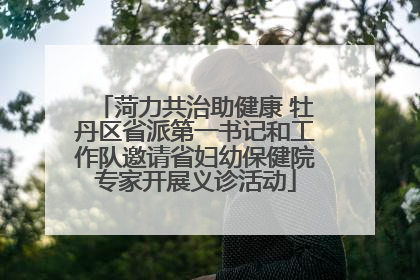 菏力共治助健康 牡丹区省派第一书记和工作队邀请省妇幼保健院专家开展义诊活动