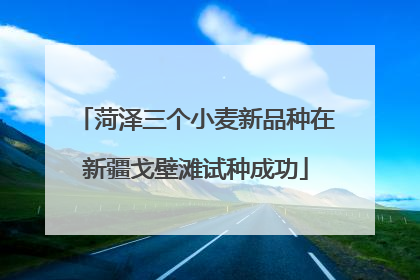 菏泽三个小麦新品种在新疆戈壁滩试种成功