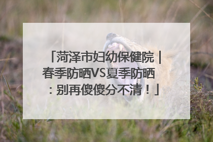 菏泽市妇幼保健院｜春季防晒VS夏季防晒：别再傻傻分不清！