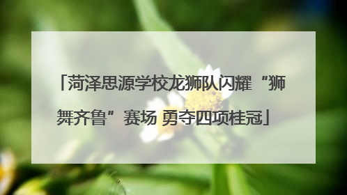 菏泽思源学校龙狮队闪耀“狮舞齐鲁”赛场 勇夺四项桂冠