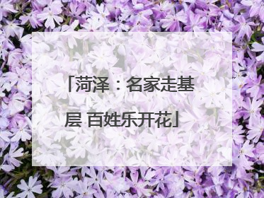 菏泽：名家走基层 百姓乐开花