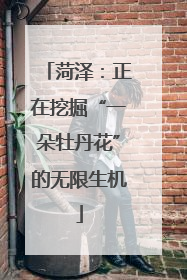 菏泽：正在挖掘“一朵牡丹花”的无限生机