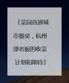 菜园直通城市餐桌，杭州邵老板的收菜计划和期待