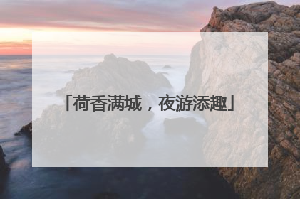 荷香满城，夜游添趣