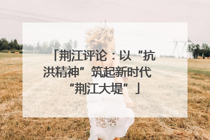 荆江评论：以“抗洪精神”筑起新时代“荆江大堤”