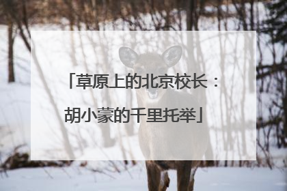 草原上的北京校长：胡小蒙的千里托举