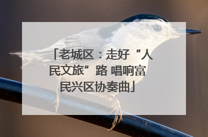 老城区：走好“人民文旅”路 唱响富民兴区协奏曲