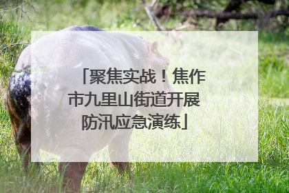 聚焦实战！焦作市九里山街道开展防汛应急演练