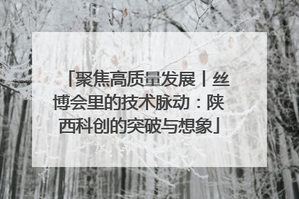 聚焦高质量发展丨丝博会里的技术脉动：陕西科创的突破与想象