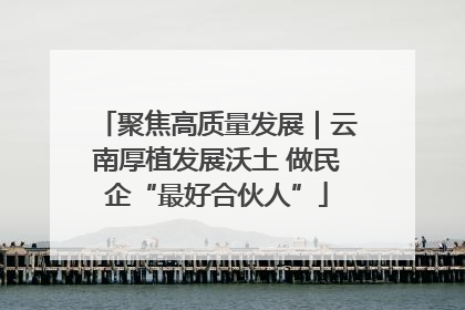 聚焦高质量发展｜云南厚植发展沃土 做民企“最好合伙人”