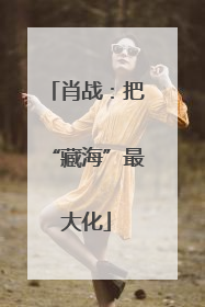 肖战：把“藏海”最大化
