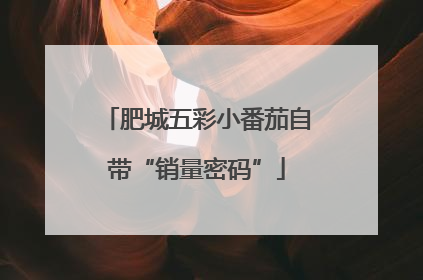 肥城五彩小番茄自带“销量密码”