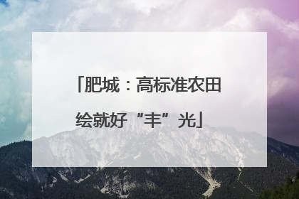 肥城：高标准农田绘就好“丰”光