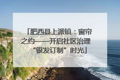 肥西县上派镇：窗帘之约——开启社区治理“银发订制”时光