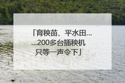 育秧苗、平水田……200多台插秧机只等一声令下