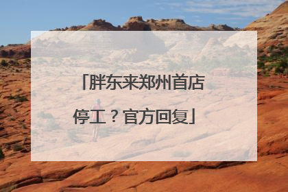 胖东来郑州首店停工？官方回复
