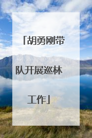 胡勇刚带队开展巡林工作