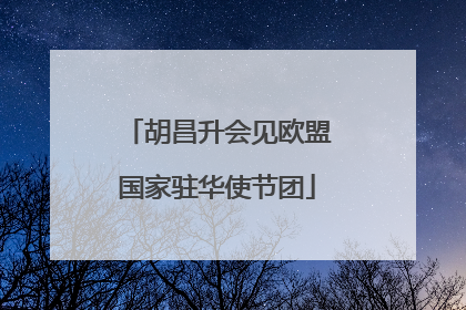 胡昌升会见欧盟国家驻华使节团