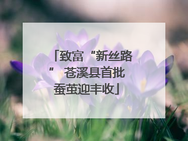 致富“新丝路” 苍溪县首批蚕茧迎丰收