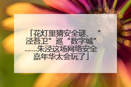 花灯里猜安全谜、“泾吾卫”巡“数字城”……朱泾这场网络安全嘉年华太会玩了