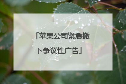 苹果公司紧急撤下争议性广告